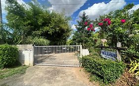 Phow Homestay
