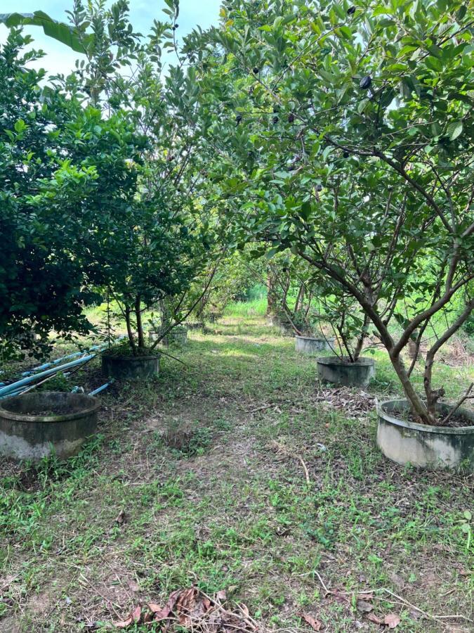Phow Homestay Ban Mai  Exterior photo